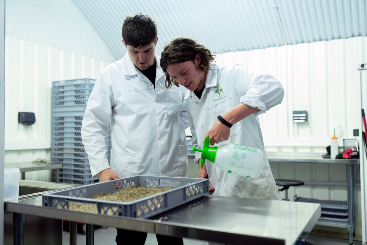Home Two scientists in lab coats conducting research on sustainable indoor farming techniques.